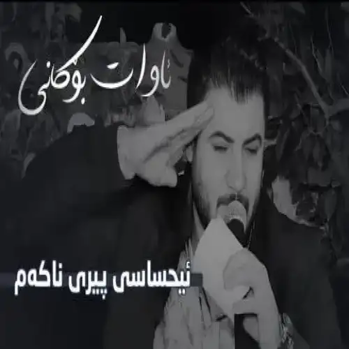ئیحساسی پیری ناکه‌م